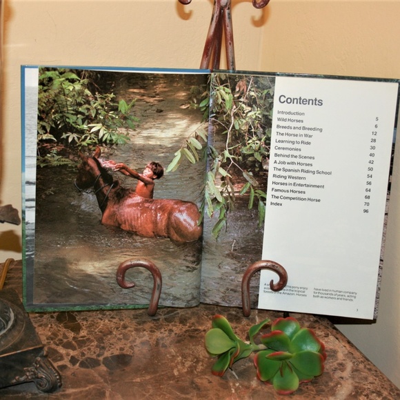 The World of Show Horses book - Picture 4 of 4